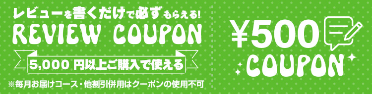 レビューを書くともらえる500円クーポン