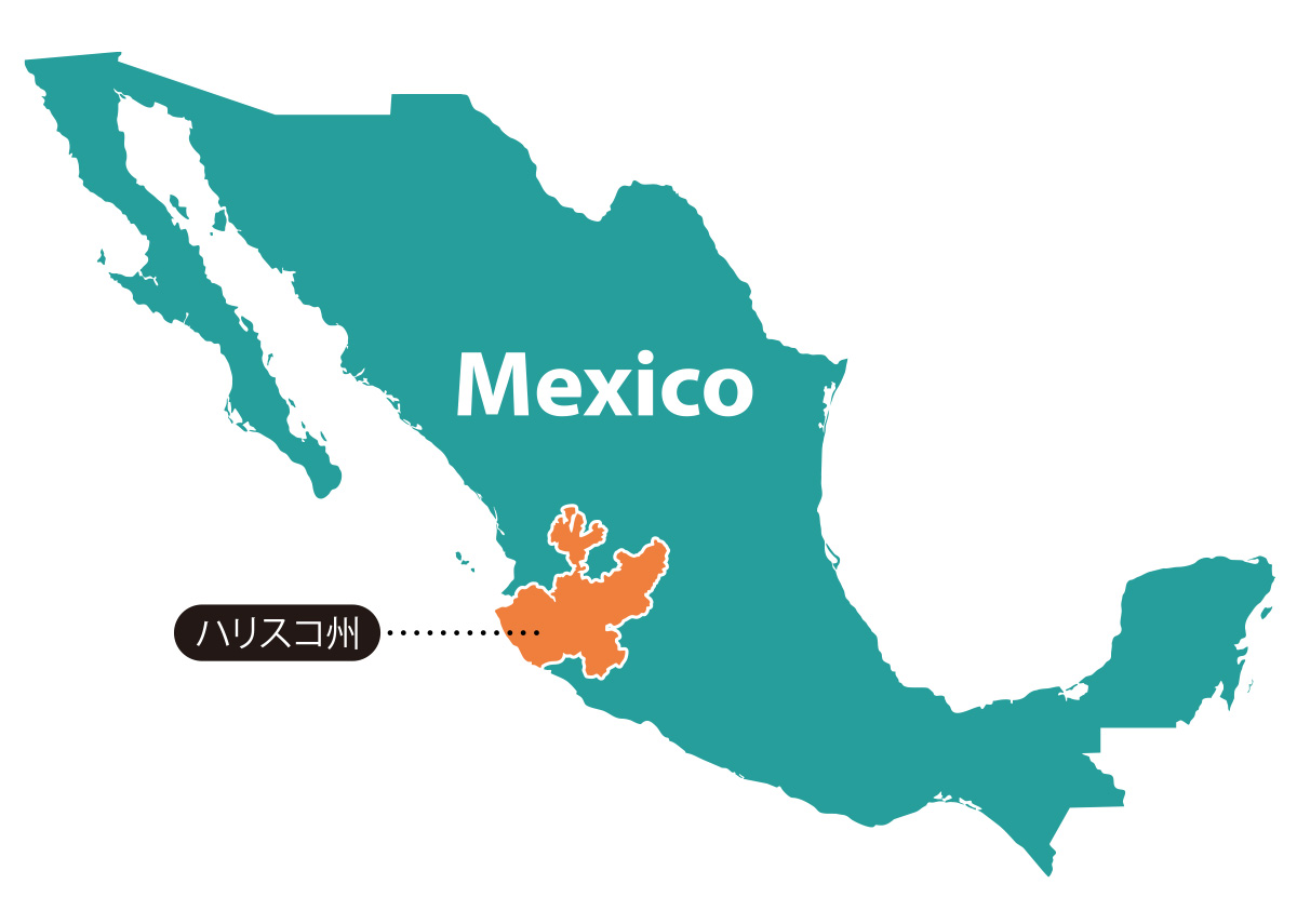 メキシコ地図